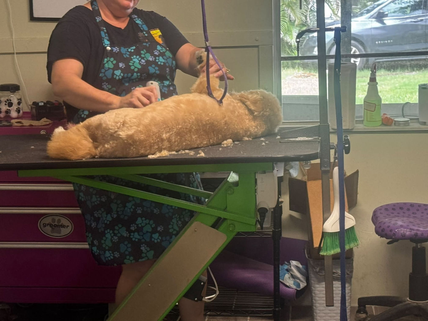 Groomer giving a cream doodle a full haircut on the grooming table at Southshore Pet Grooming in Ruskin, FL