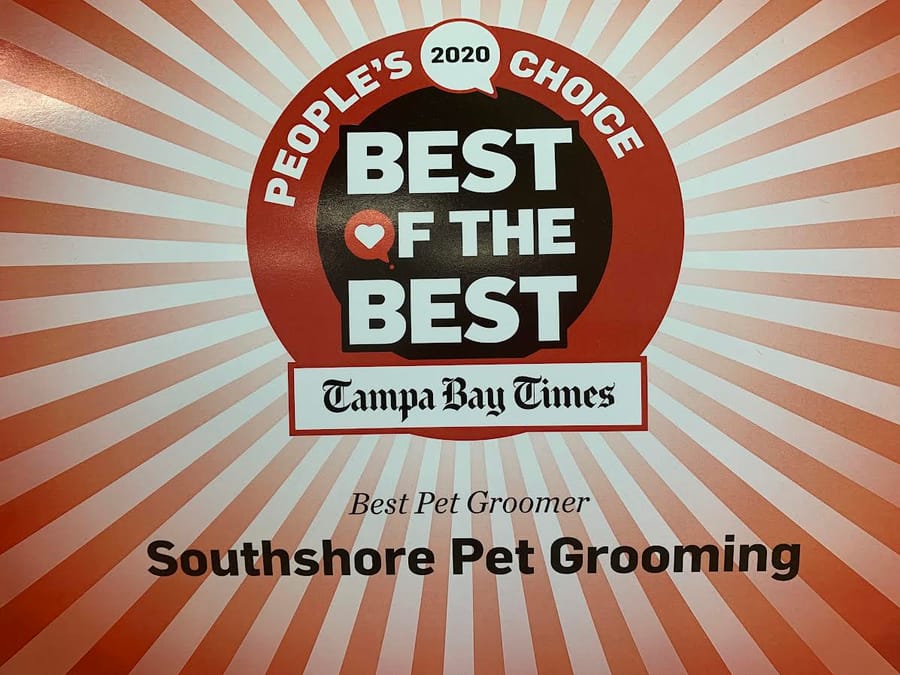 Tampa Bay Times Best of the Best 2020, Best Pet Groomer awarded to Southshore Pet Grooming